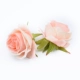 Hoa mô phỏng cao, hoa hồng đầu, mũ nón DIY, áo dài, hoa cưới, bóng hoa - Hoa nhân tạo / Cây / Trái cây