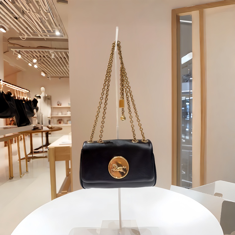 New Heritage Gold Coin Chain Bag Calfskin Evening Accordion Bag Retro Galloping Horse Single Shoulder Crossbody Messenger Bag