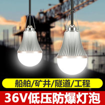 LED with wire bulb low voltage 24v36v127v waterproof outgoing bulb lamp shipbuilding construction lighting low voltage line lamp