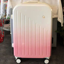 Small fresh luggage ins net red female trolley case male large capacity strong and durable password travel leather luggage