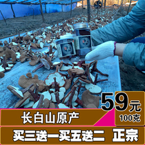 Ganoderma spore powder Jilin Changbai Mountain Linzhi 500g bulk head Road powder 100g northeast gift box full seed powder