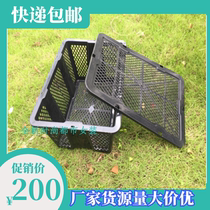  Grape picking blue rectangle with lid 10 kg 20 kg fruit basket Plastic cherry turnover basket Picking bayberry blue basket
