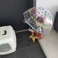 Японский прозрачный зонтик остановки дождя цветной волны точка