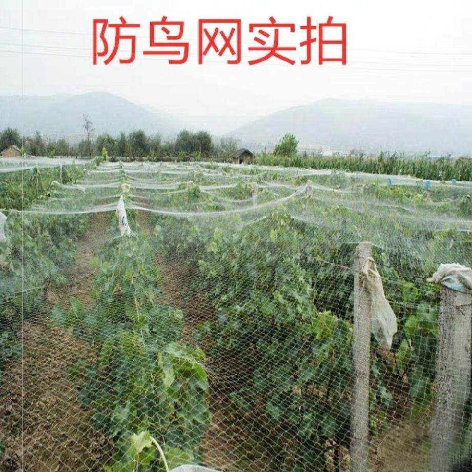 Nylon mesh fine eye Agricultural farmland fence protection net Grape anti-bird net Breeding net Outdoor melon protection climbing rattan net