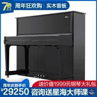 Xinghai mới đàn piano thẳng đứng dành cho người lớn nhà chuyên nghiệp máy tính để bàn chuyên nghiệp thật piano thủ công Đức Hyde HS-21S - dương cầm piano perfect