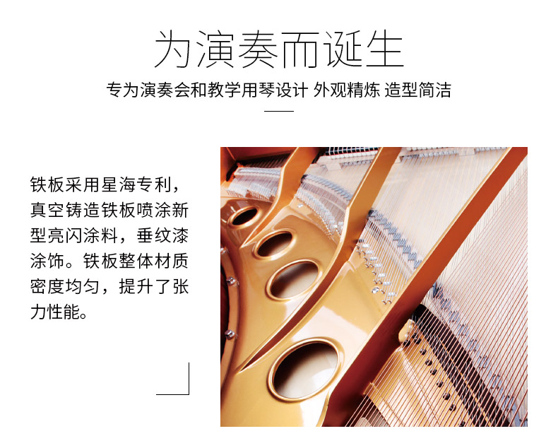 Cửa hàng Flagship Piano Xinghai Chuyên nghiệp Lớp Grand Piano Đặc biệt XG-143 Đàn piano gỗ đen mới - dương cầm roland fp 30