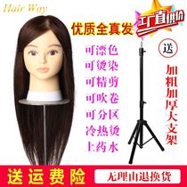 Hairdressing head model full real hair apprentice braid hair hair hair model bracket