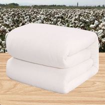Xinjiang spring and autumn summer cold quilt long-staple cotton quilt mattress winter quilt core pad thickened warm handmade cotton quilt