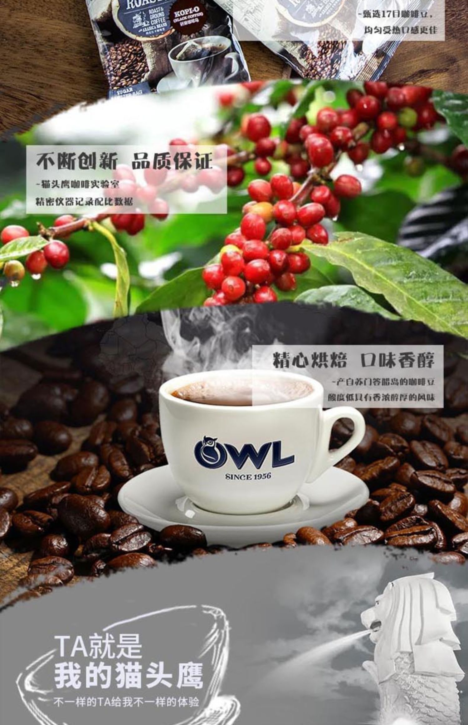 进口！owl猫头鹰三合一咖啡