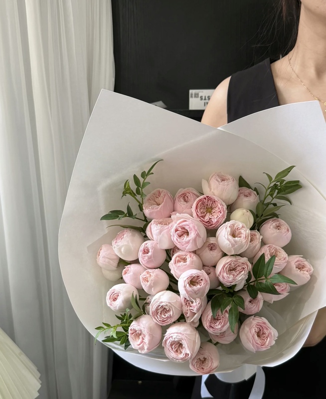 Premium Multi-Head Rose Varieties, Rare and Cute'Porcelain Cool' and'Fairy Kiss' Varieties, Selected Quality, Direct Delivery from Yunnan