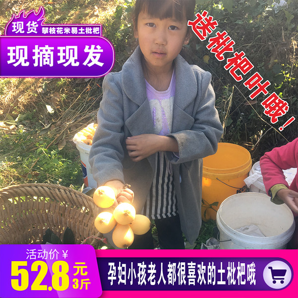 国家地理标志产品 馋啦啦 新鲜当季 攀枝花 米易枇杷 3斤 天猫优惠券折后￥42.8包邮（￥52.8-10）