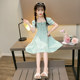 Girls summer dress 2023 new big boy super foreign style cotton dress little girl puff sleeve super fairy princess dress