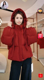 【年终盛典】LOISELLE洛赛儿【雁归行】百搭休闲羽绒LS1709