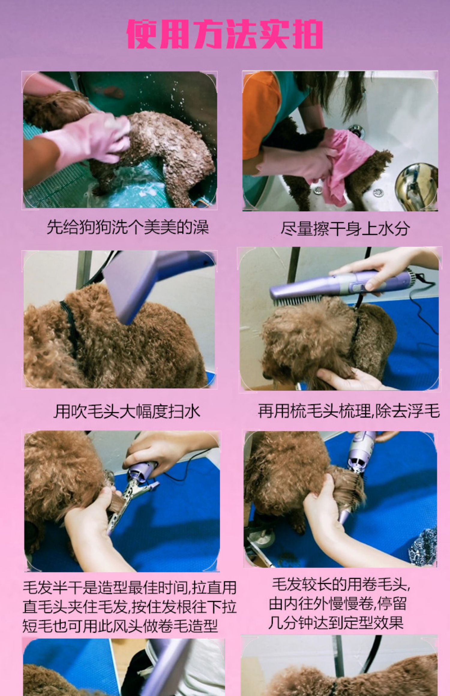 Pet duỗi thẳng chải tóc một máy sấy tóc chó khô tạo tác mèo đặc biệt máy sấy nhỏ nhà - Cat / Dog Beauty & Cleaning Supplies lược chải lông mèo