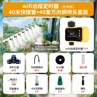 Удаленный таймер WIFI (модель для зарядки) + универсальный медный корпус с быстрой вилкой, 40 м