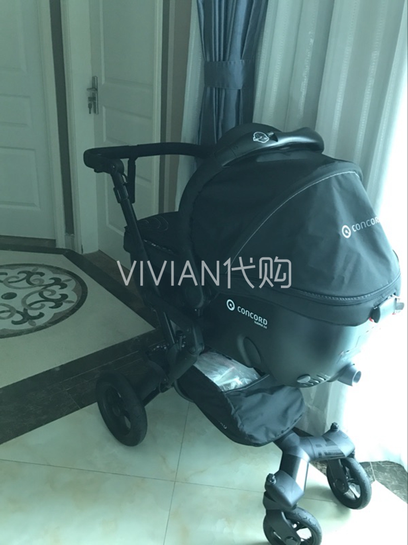 concord fusion buggy