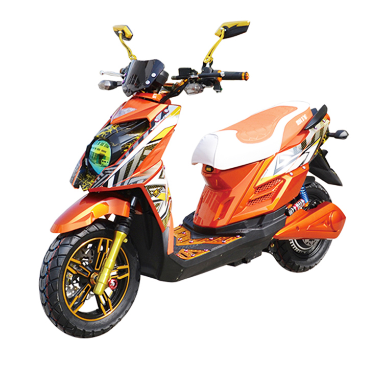 Xe máy điện TTX đuôi hộp khung xe điện phía sau móc áo xe máy lớn khổng lồ tập hợp đuôi rồng phía sau kệ vận chuyển - Xe máy Sopiler khung inox bảo vệ xe máy