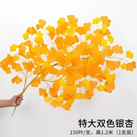 1 дополнительные два листья гинкго