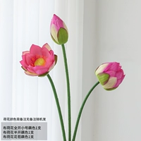 Ткани лотос набор B