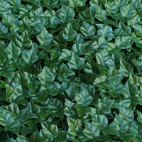 1*1 метра листья сладких дыни (зашифрованные модели, отправить с бабочками)