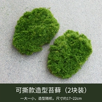 2 куска зеленого в мхе в мохе