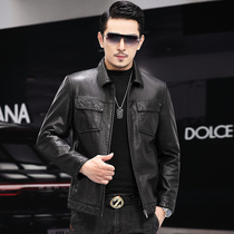 Leather leather men's short first layer calf leather oil wax youth handsome lapel spring and autumn motorcycle leather jacket coat