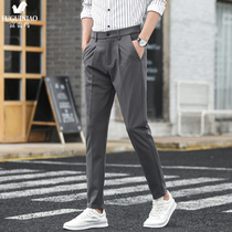 Rich Gui Bird Western Pants Male Loose Straight Cylinder Ice Silk Korean Version Business Tide Card Summer Thin high-end sashimi pants male