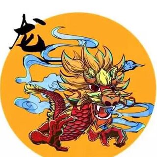 小龙驱动软件店的LOGO
