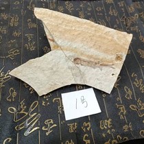Special price boutique paleontological fish fossil from Chaoyang Western Liaoning single fish plate with bracket and gift ornaments specimen original stone w
