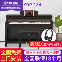 Yamaha electric piano YDP-184R high-end professional vertical adult children home intelligent playing digital piano