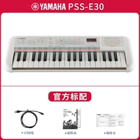 PSS-E30 Официальный стандарт стандарта