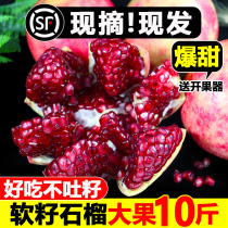 Tunisia soft seed pomegranate 10 pounds of fruit fresh season pregnant women sweet pomegranate whole box wholesale
