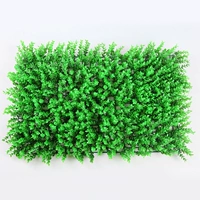 Зашифрованный улучшенный эвкалипт 40*60