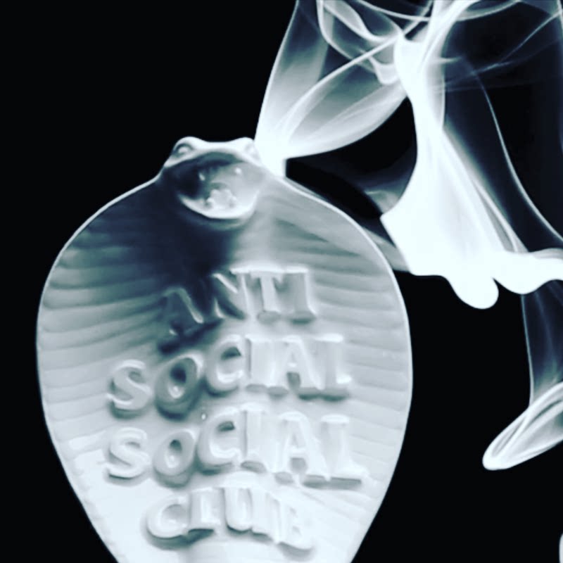 nbhd x assc Snake Incense Burner NEIGHBORHOODxAnti Social Social Club Aromatherapy