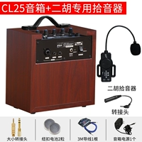 Erhu (Huqin) Специальное устройство для пикапа+народная музыка Bluetooth -динамик+аксессуары