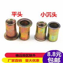 Rivet nut Flat head round rivet nut Multicolored vertical pattern rivet nut M3 M4 M5 M6 M8 M10 M12
