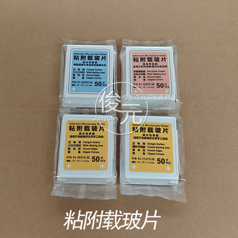 粘附载玻片 疏水性 表面正电荷 白色书写面 世泰技术生产