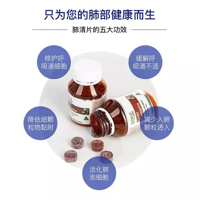 笑不活了！澳洲国宝到底是考拉还是袋鼠？真相太破防了