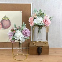 INS Minima Light Extravagant Glass Hydroponic Art Metal Vases Nordic Geometric Flower Racks Glass Test Tube Living-room Living-room Pendulum Pieces