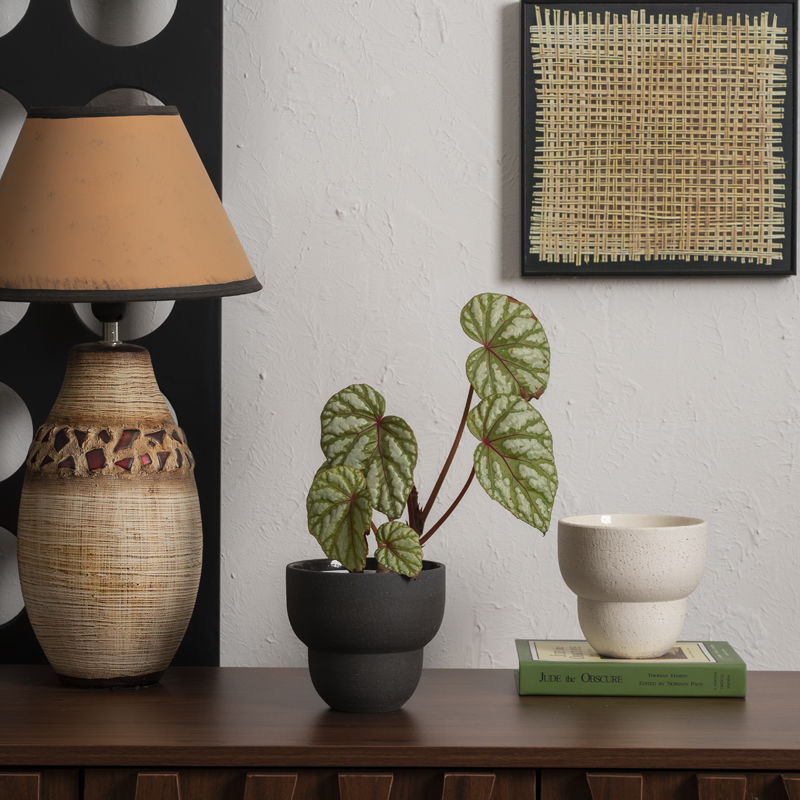 Casual and Versatile Dark Gray & White Clay Small Flower Pot Handmade Perforated Green Plant Breathable Flower Pot Table Placement Home Casual and Versatile Dark Gray & White Clay Small Flower Pot Handmade Perforated Green Plant Breathable Flower Pot Table Placement Home