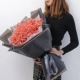 Red Super Bunch Equipment (Phnom Penh Diablo)+светодиодный свет