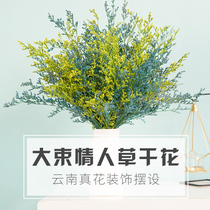 Yunnan big bunch lover grass dry flower bouquet real flower home furnishings hipster decoration all over the Sky star forget not me flower arrangement