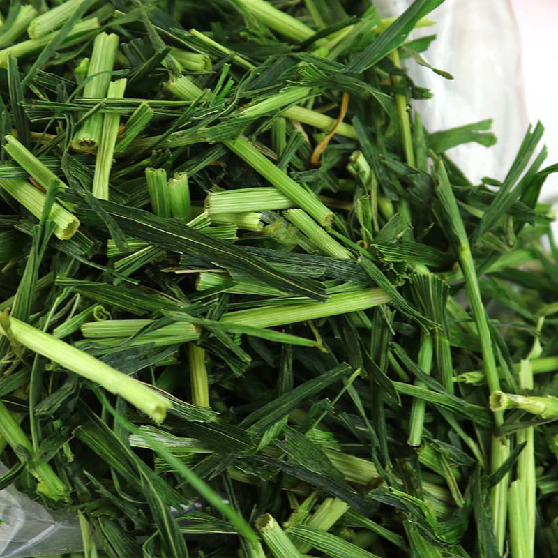 Dragon cat exclusive 20 years new drying high nutrient barley grass section 250g dragon cat grain grass pasture grass feed 4 catties