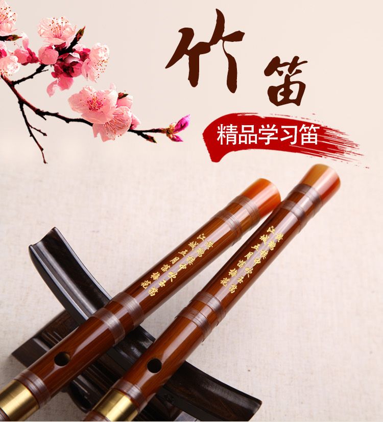 Sáo trúc nhạc cụ sáo trúc người mới bắt đầu sáo trúc người lớn trẻ em mới bắt đầu không cơ bản chơi sáo tinh luyện chuyên nghiệp - Nhạc cụ dân tộc