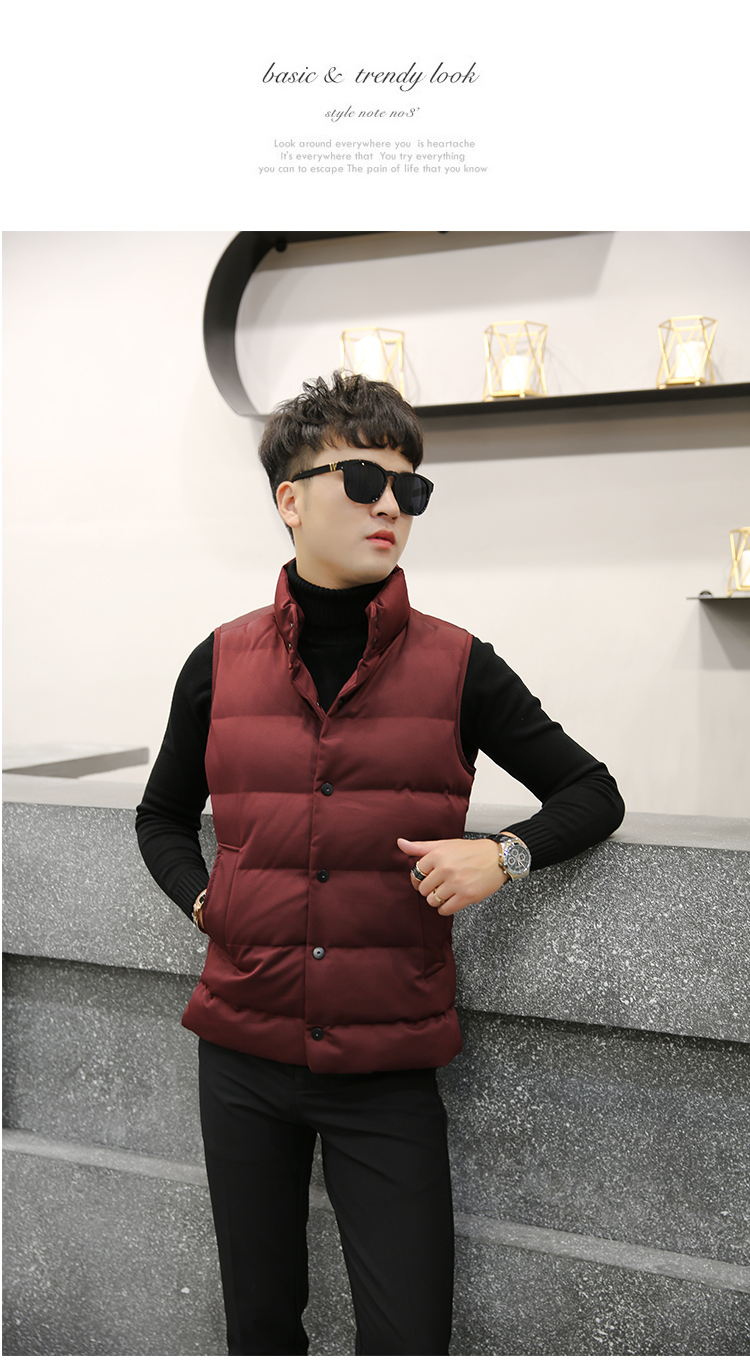 Mùa đông mới của Hàn Quốc phiên bản của tự trồng đứng cổ áo nam cotton vest thời trang ngắn cotton vest áo khoác thanh niên vest vai vest