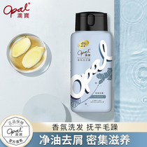 Australian Pawn Ginger Control Oil to Litter Shampoo lasting with fragrant nurturing scalp softly and flutter Lady wash her hair