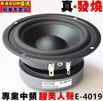 Jiaxun E-4019 fever midrange speaker 4 inch hifi sealed pure midrange speaker Audio speaker