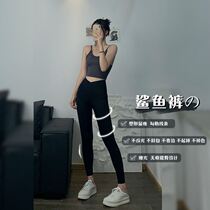 (Counter) Thirteen porridge private clothing long leg artifact wear shark pants bottom high waist waist abdomen lift hip display