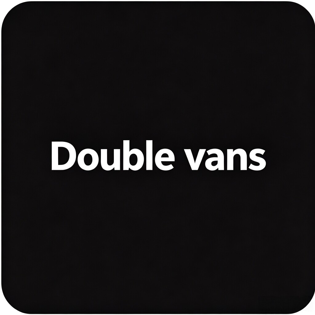 Double vans的LOGO