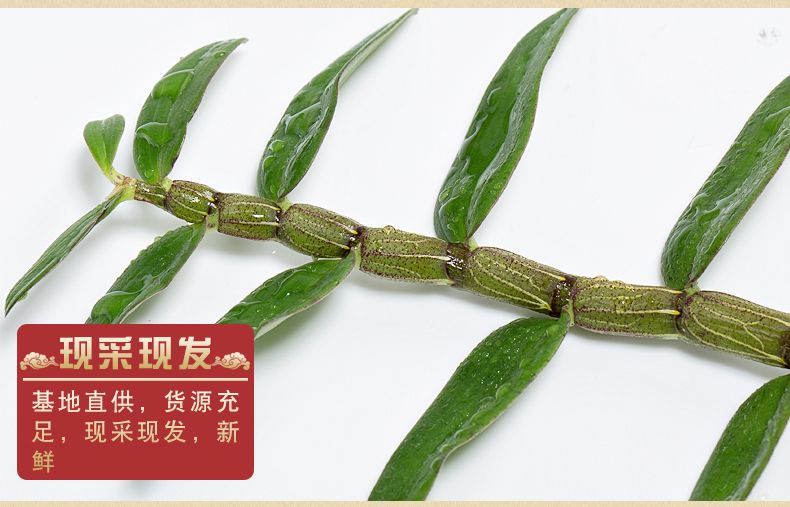 江楠枫新鲜铁皮石斛鲜条花茶